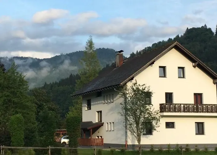 Loewenherz